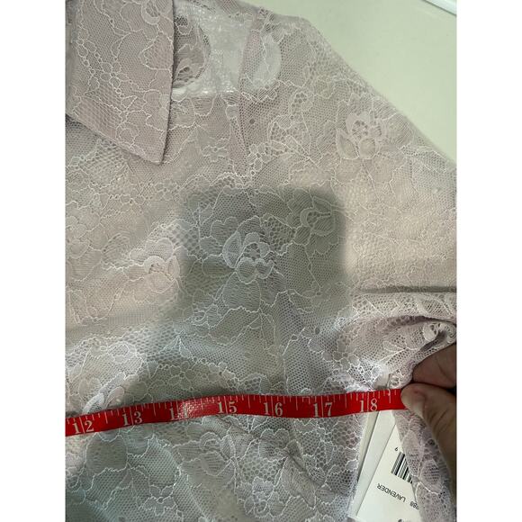NWT Tinsel Women’s Pink Lace Sheer Long Sleeve Button Blouse Top Large Boho - Picture 6 of 9